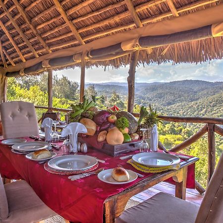 Ngorongoro Forest Tented Lodge 카라투 외부 사진